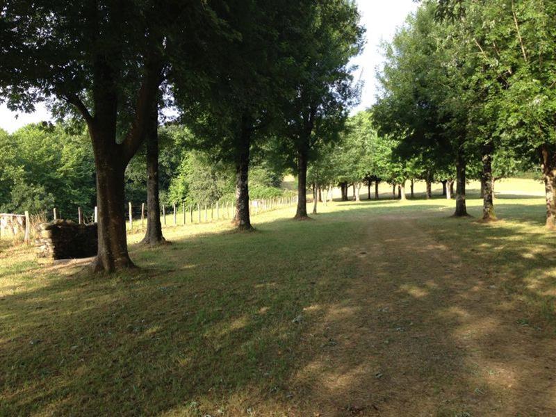 Camping Tellechea