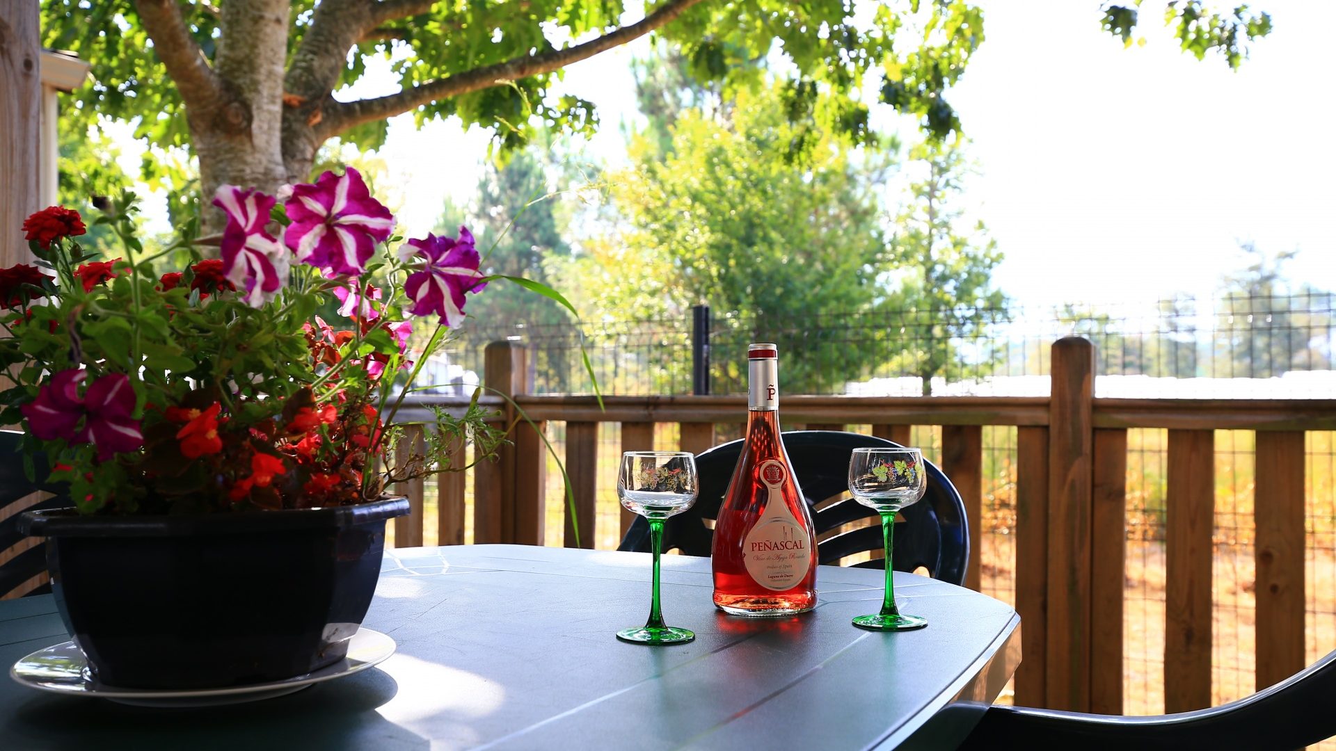 Camping de Samba, Mios