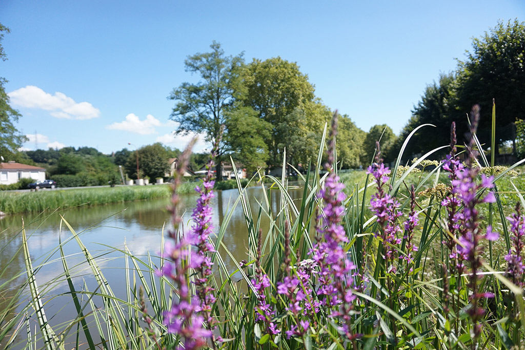 Boucle du Canal de Lalinde - Mouleydier, Mouleydier - photo 4
