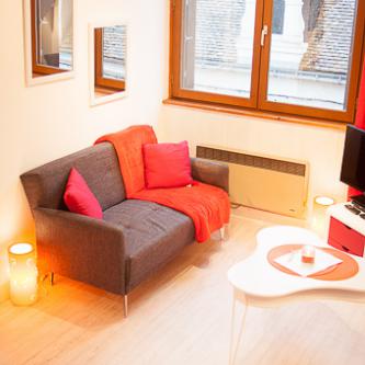 Les Annexes 17 rue Bourbon, La Roche-Posay - photo 5