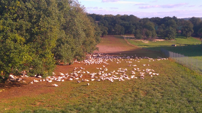 La Ferme du Moulin Haut