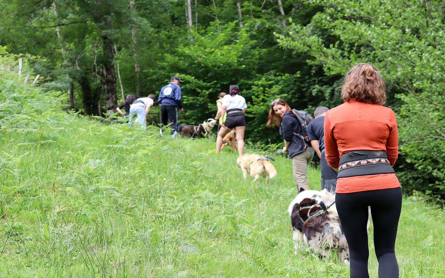 Cani Rando avec Tracés Sauvages