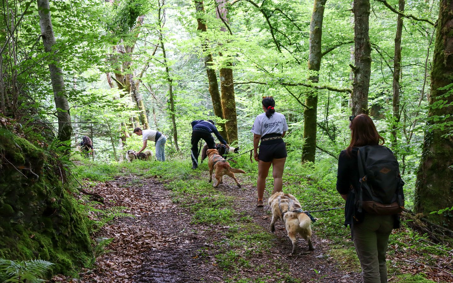 Cani Rando avec Tracés Sauvages — photo 3
