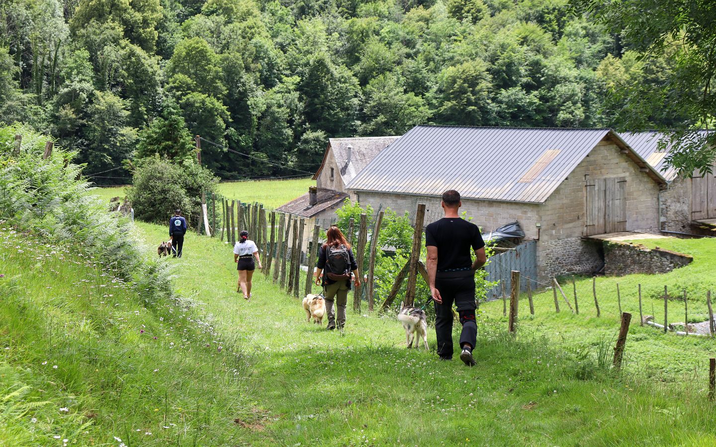 Cani Rando avec Tracés Sauvages — photo 2