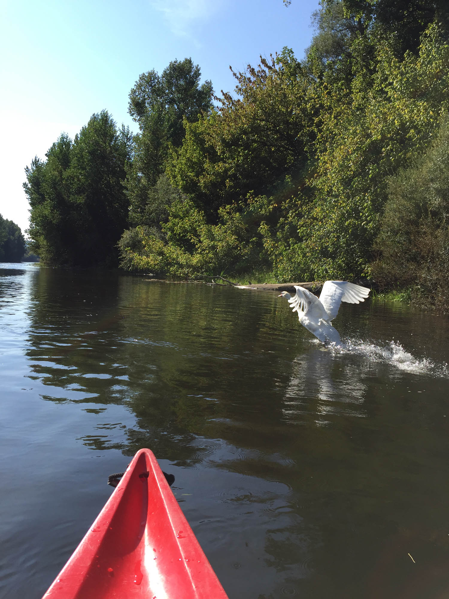 A Canoë Détente Dordogne - photo 2