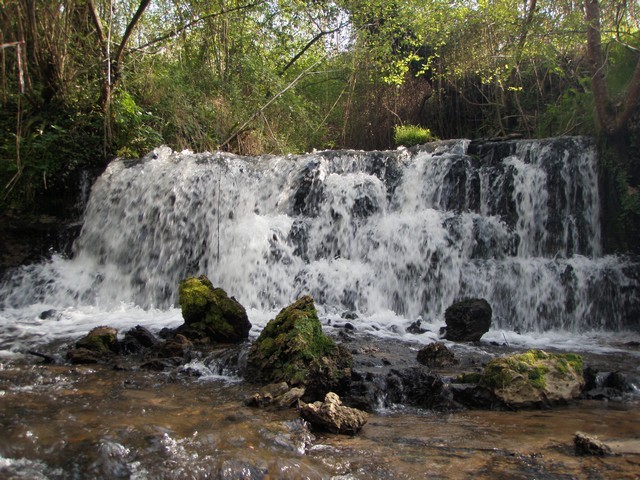 Canoë Loisir, Roquefort - photo 5