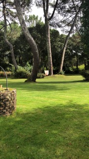 Maison Cante Corbe, Soustons - photo 3
