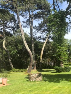 Maison Cante Corbe, Soustons - photo 4