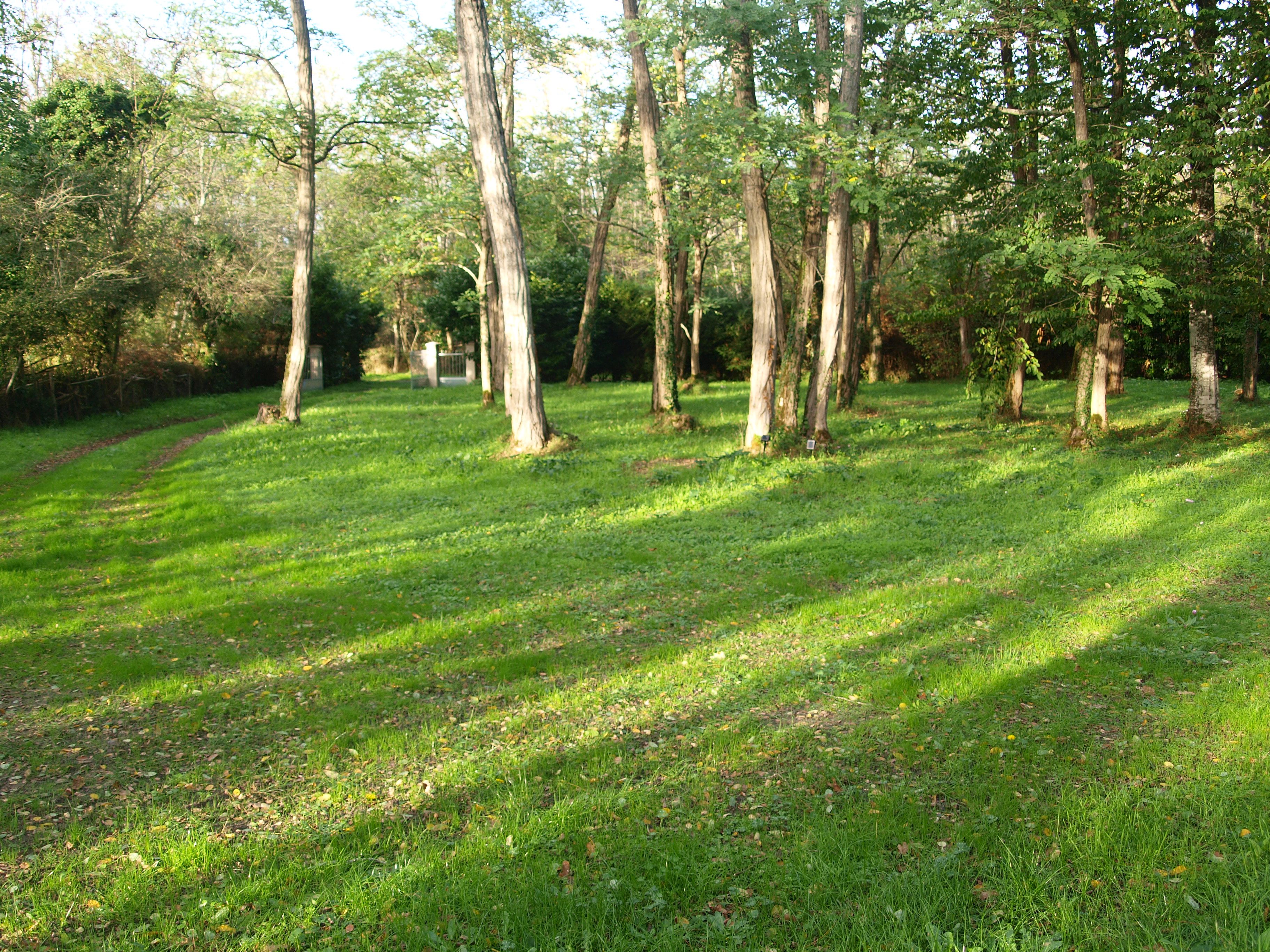 Gîte Cantebos, Saint-Laurent-Médoc - photo 15