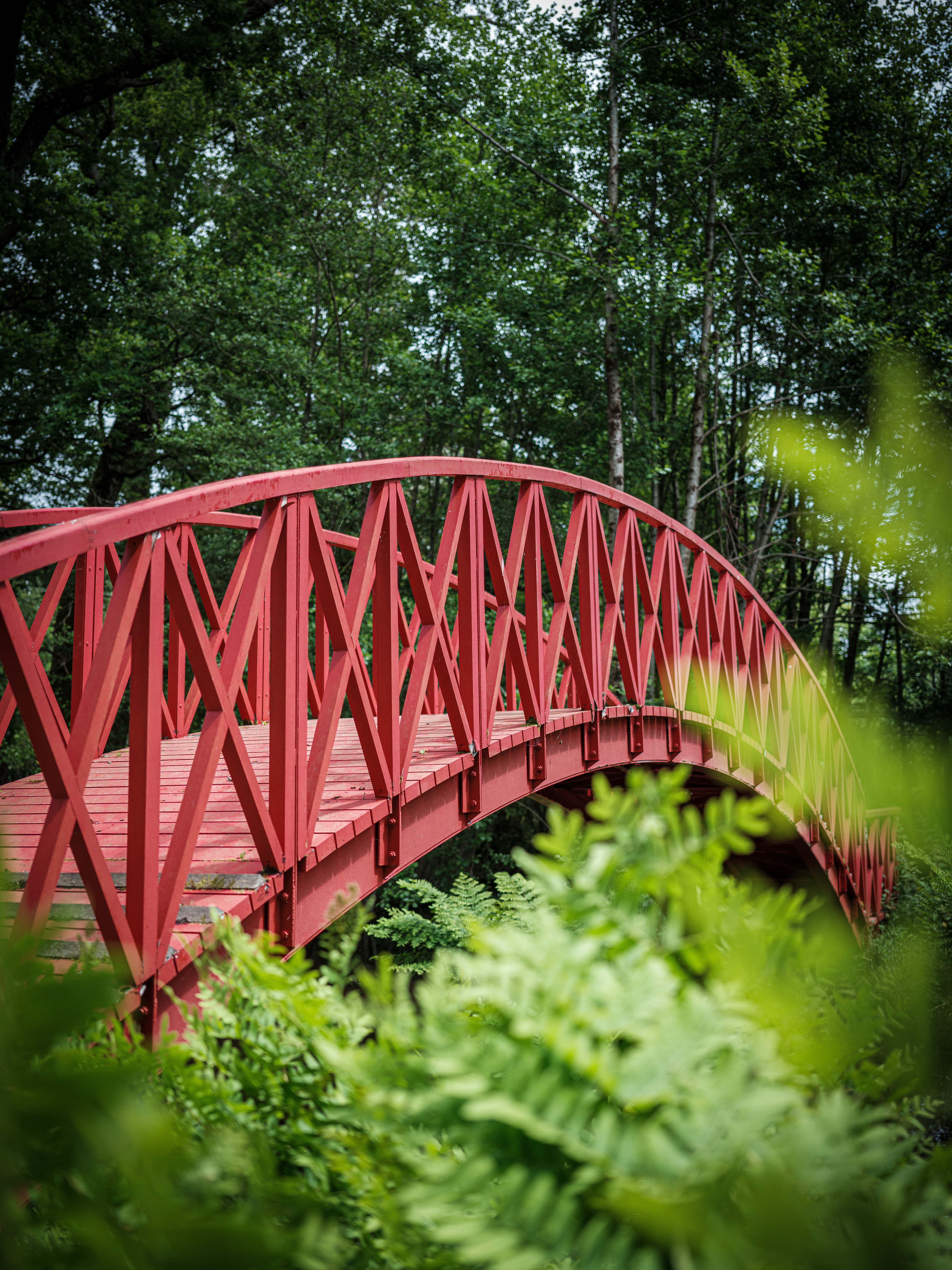 Château Cantemerle - photo 4