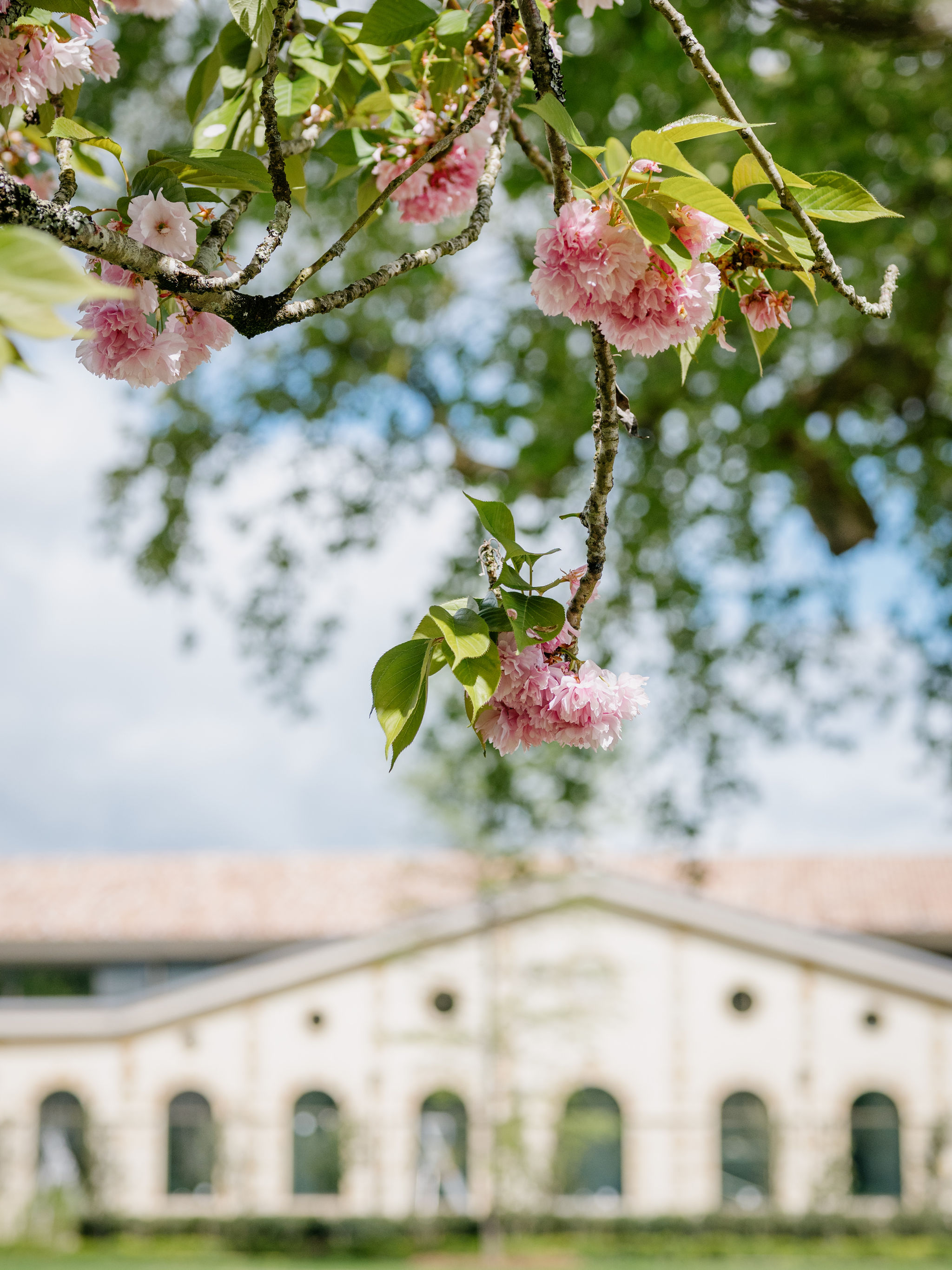 Château Cantemerle - photo 3