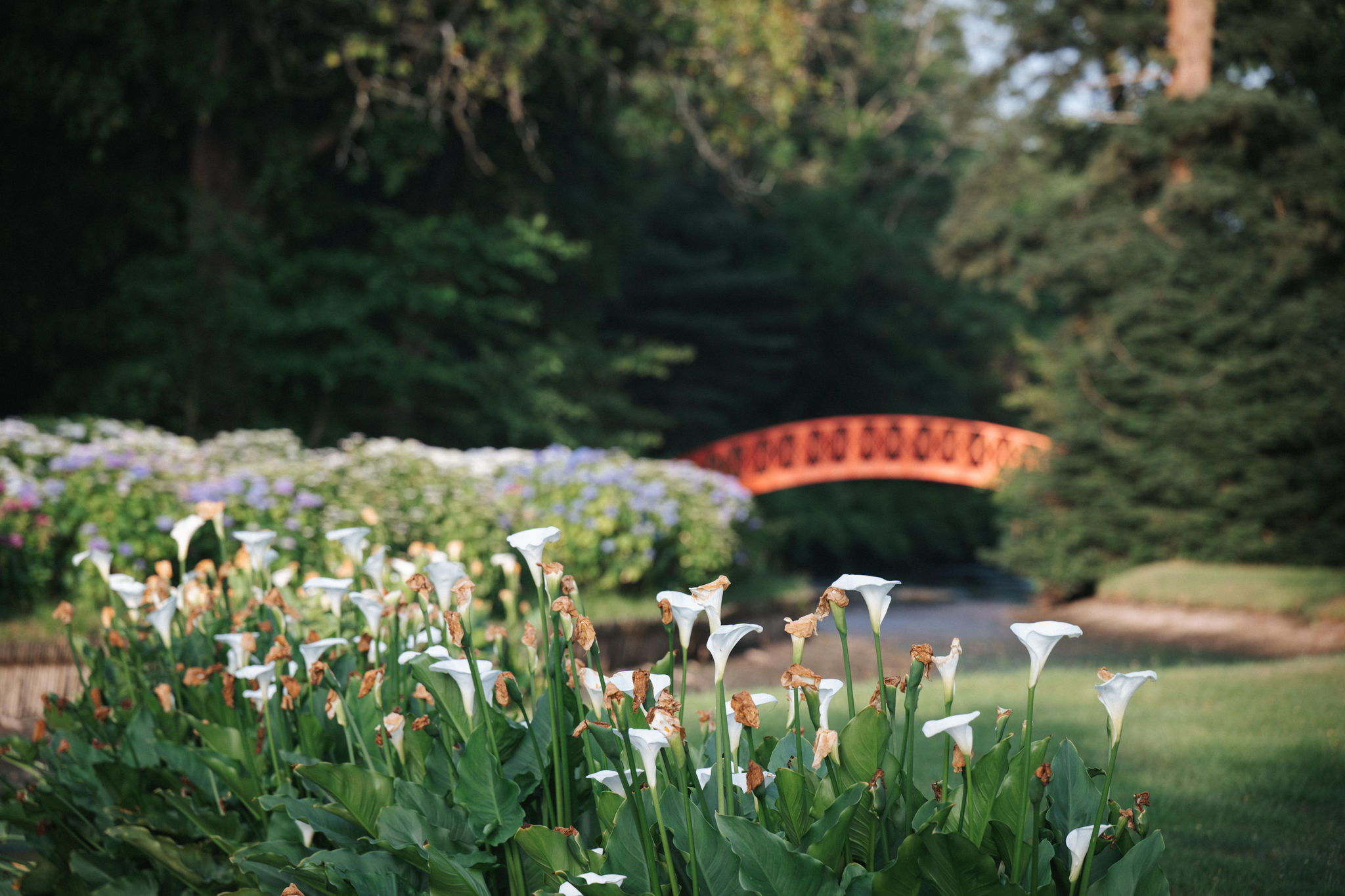 Château Cantemerle - photo 5