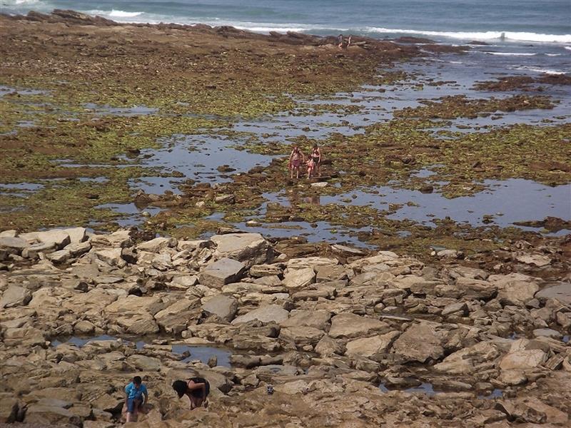 Le cantonnement de pêche