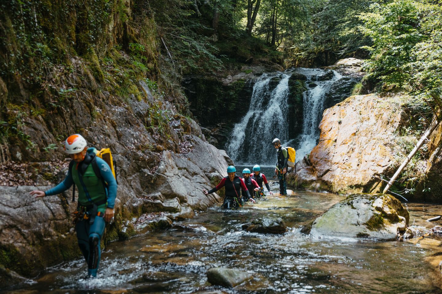 Aventure Chlorophylle - photo 4