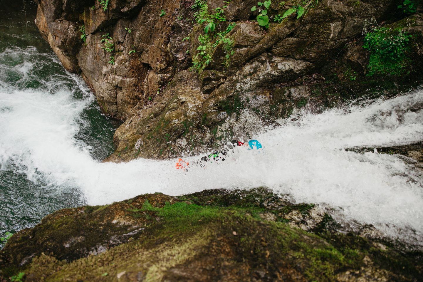 Aventure Chlorophylle - photo 5