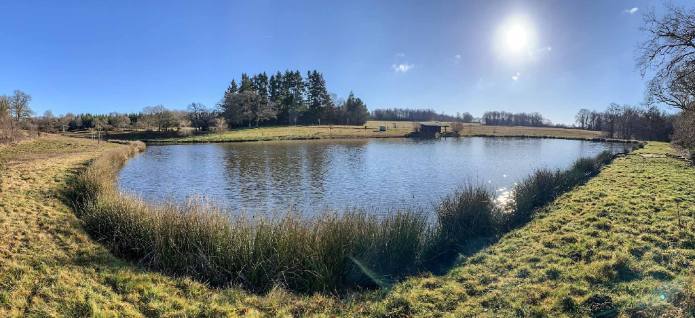 Carpodrome, Le Rochelot, Saint-Brice-sur-Vienne