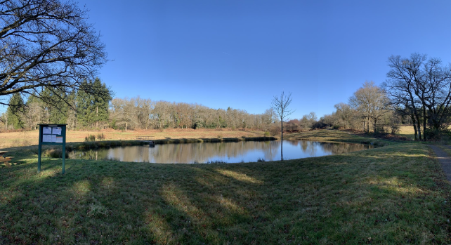 Carpodrome, Le Rochelot, Saint-Brice-sur-Vienne - photo 3