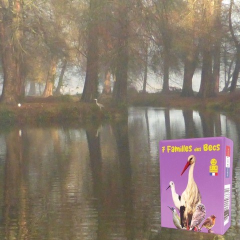 Carrement Jeu — photo 2