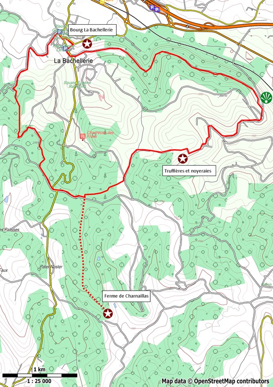 Autour du gras à la Bachellerie, La Bachellerie