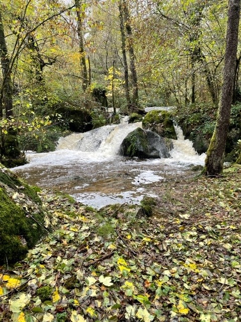 Le Moulin du Tourtoulloux, Saint-Martin-Château - photo 7
