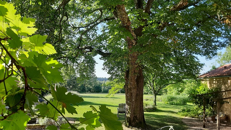 Perrot en Périgord  : Maison Castelnaud, Pressignac-Vicq - photo 5