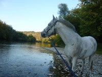 Les Cavaliers de la Vezere - photo 5