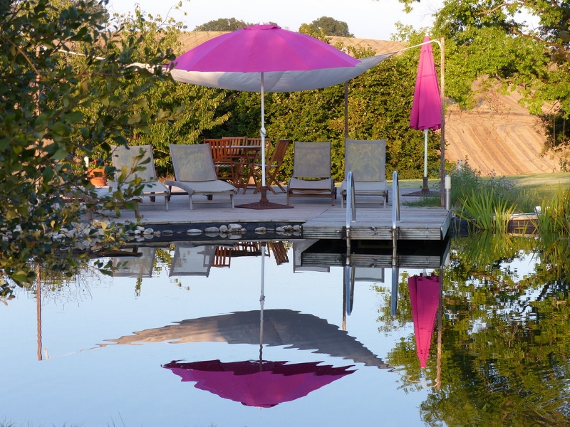 Le hameau des coquelicots - la Maison des Bleuets, Saint-Léon - photo 7