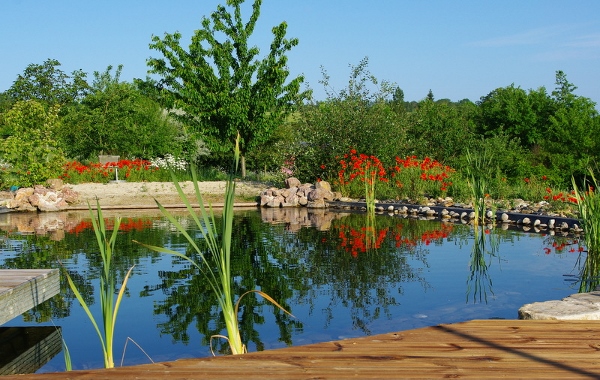 Le hameau des coquelicots - la maison des Blés, Saint-Léon - photo 6