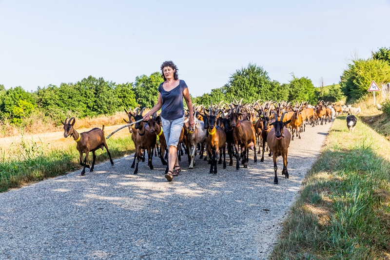 Le Chaudron Magique - photo 2