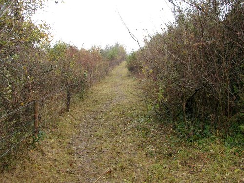 Le Coteau de Pinel, Pinel-Hauterive - photo 8