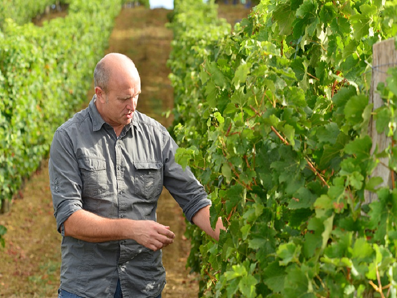 Les Vignerons du Brulhois