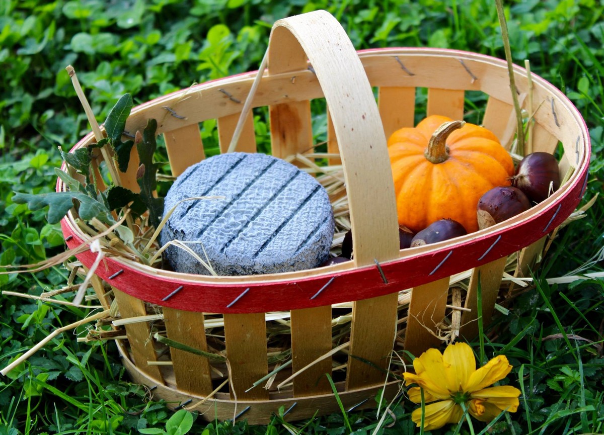 Gîte de la Chèvrerie, Grignols - photo 15