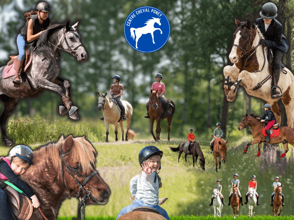 Centre cheval Poney