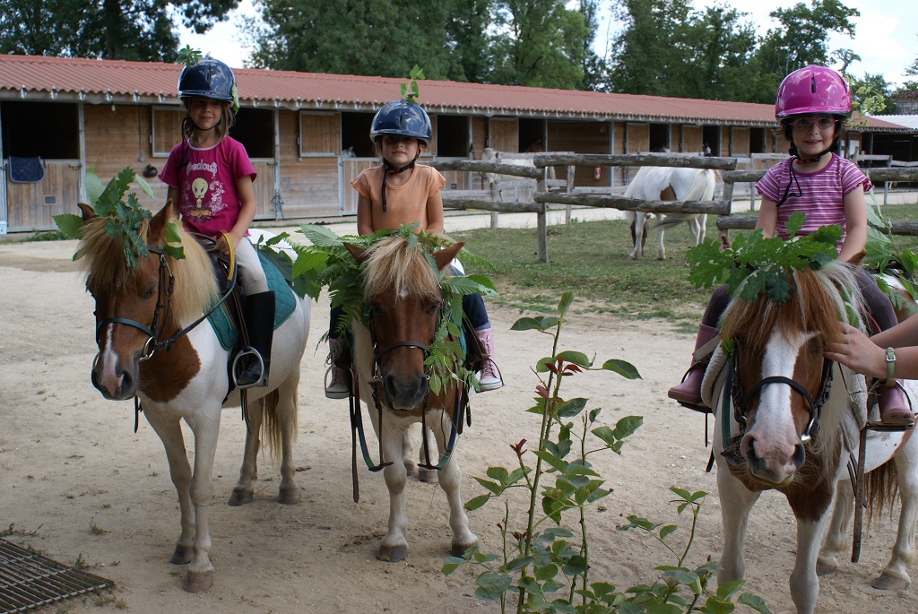 Domaine de la Sudrie -centre Équestre de Bourrou - photo 2