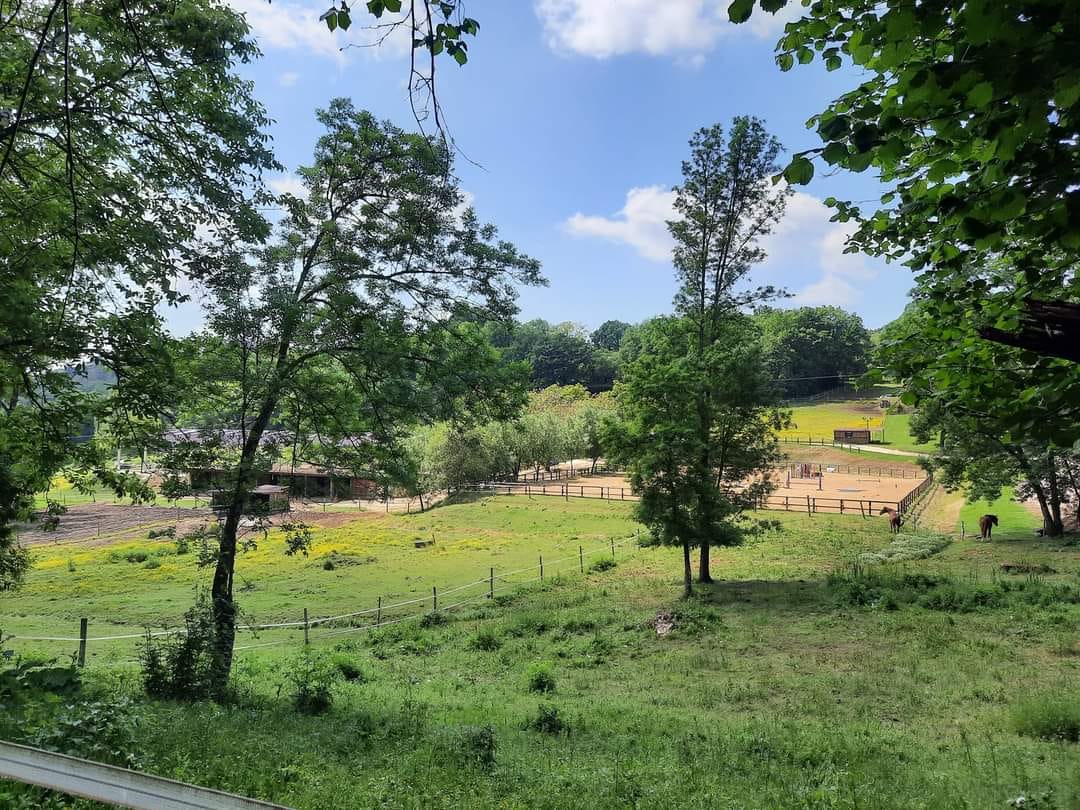 Centre Equestre de Neuvic - photo 4