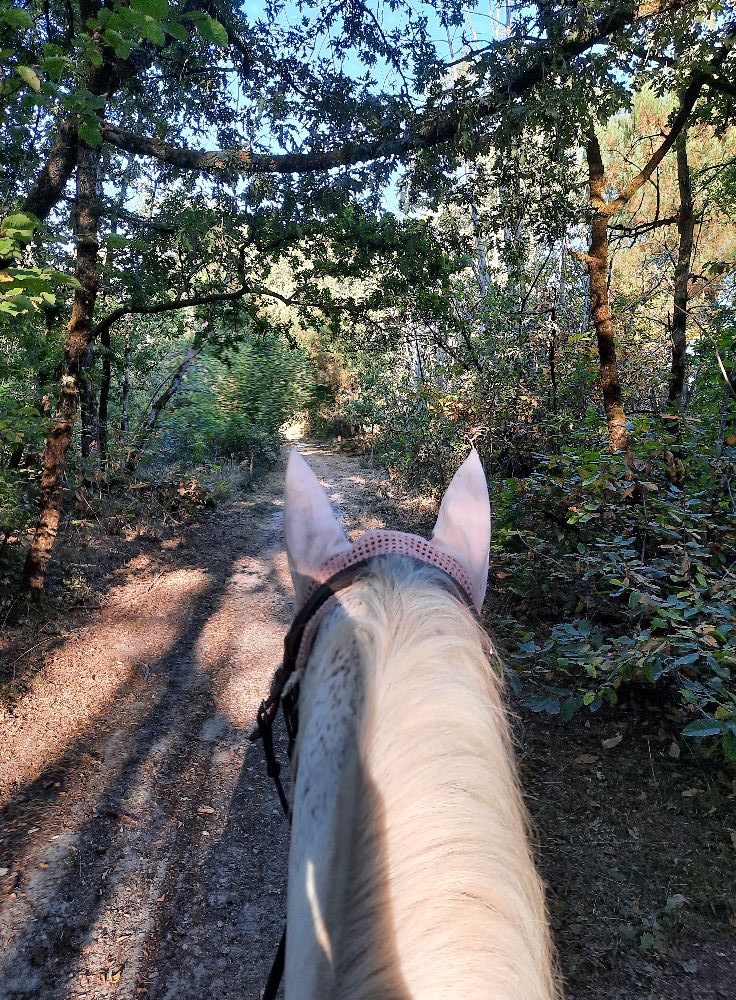 Centre Equestre de Neuvic - photo 5