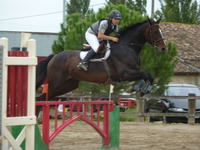 Centre Equestre des Cèdres