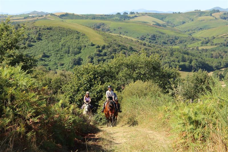 Balades à cheval Chapitalia