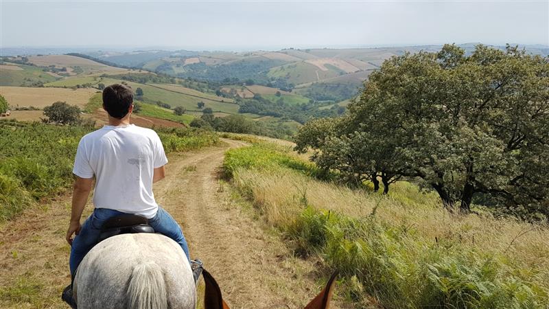 Balades à cheval Chapitalia