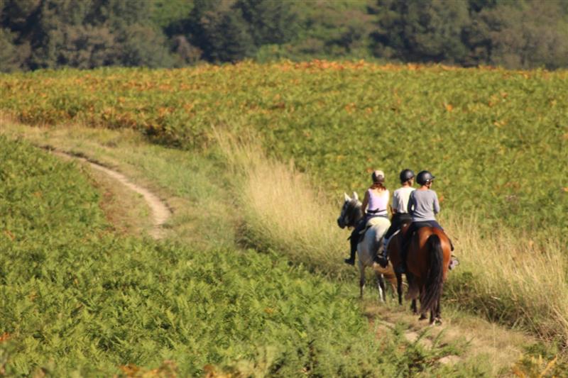 Balades à cheval Chapitalia