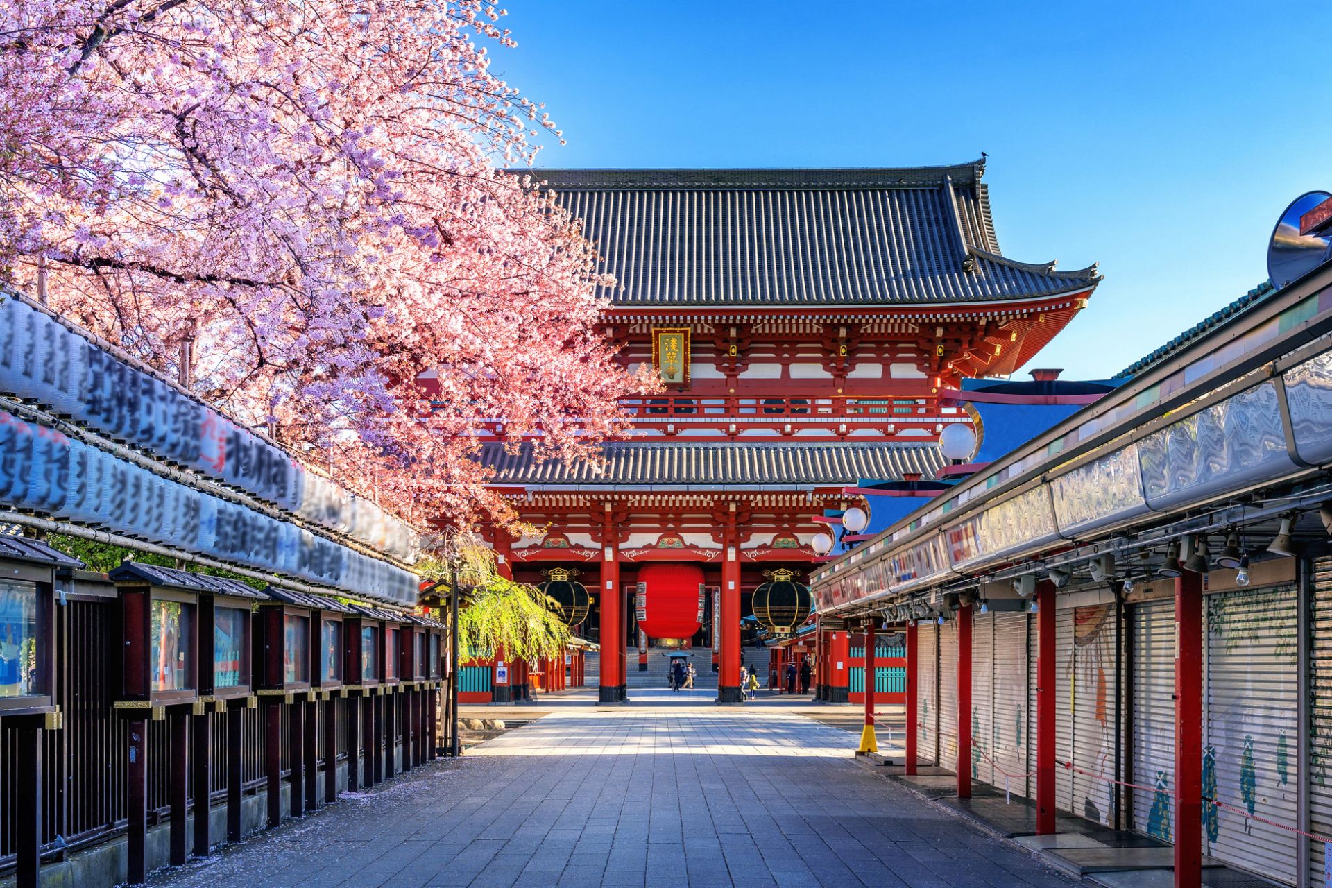 Journée "Passion Japon"