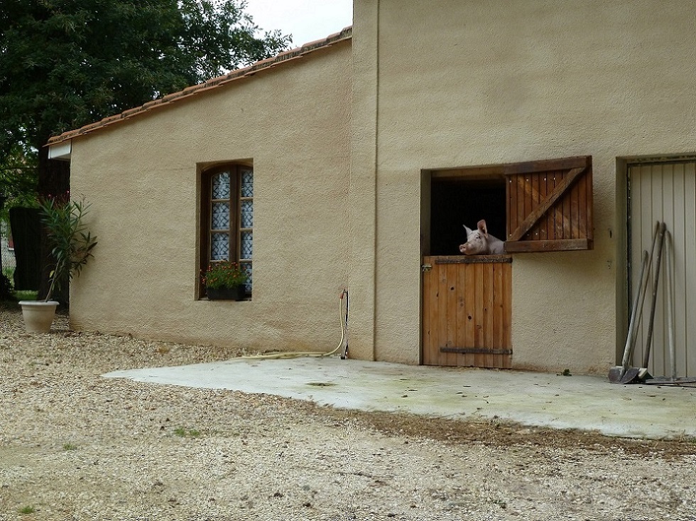 Chambres d'hôtes Jacques et Chantal CHATENET, Échourgnac - photo 6