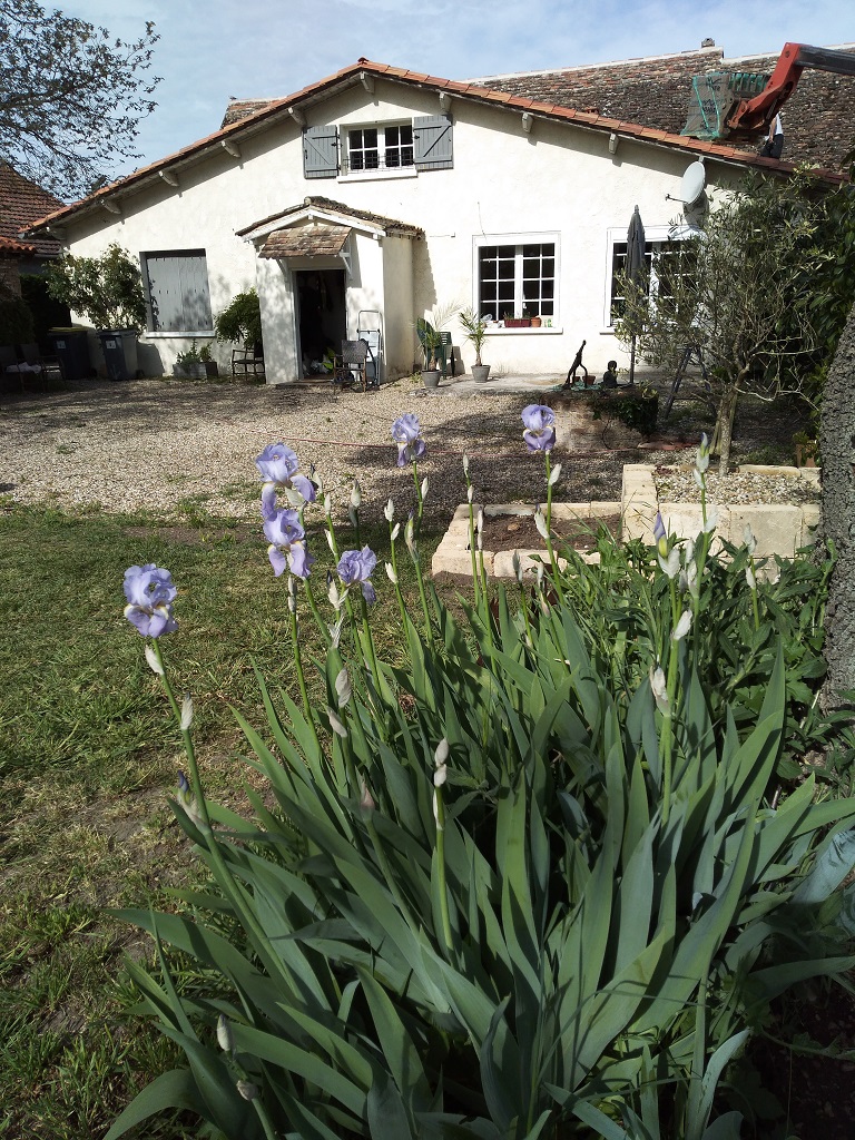 Au Cœur de Ménestérol, Montpon-Ménestérol - photo 17