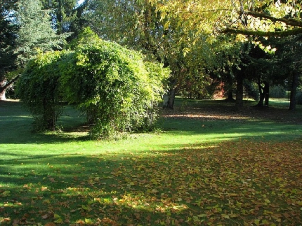 A l'orée du bois, Montpon-Ménestérol - photo 7