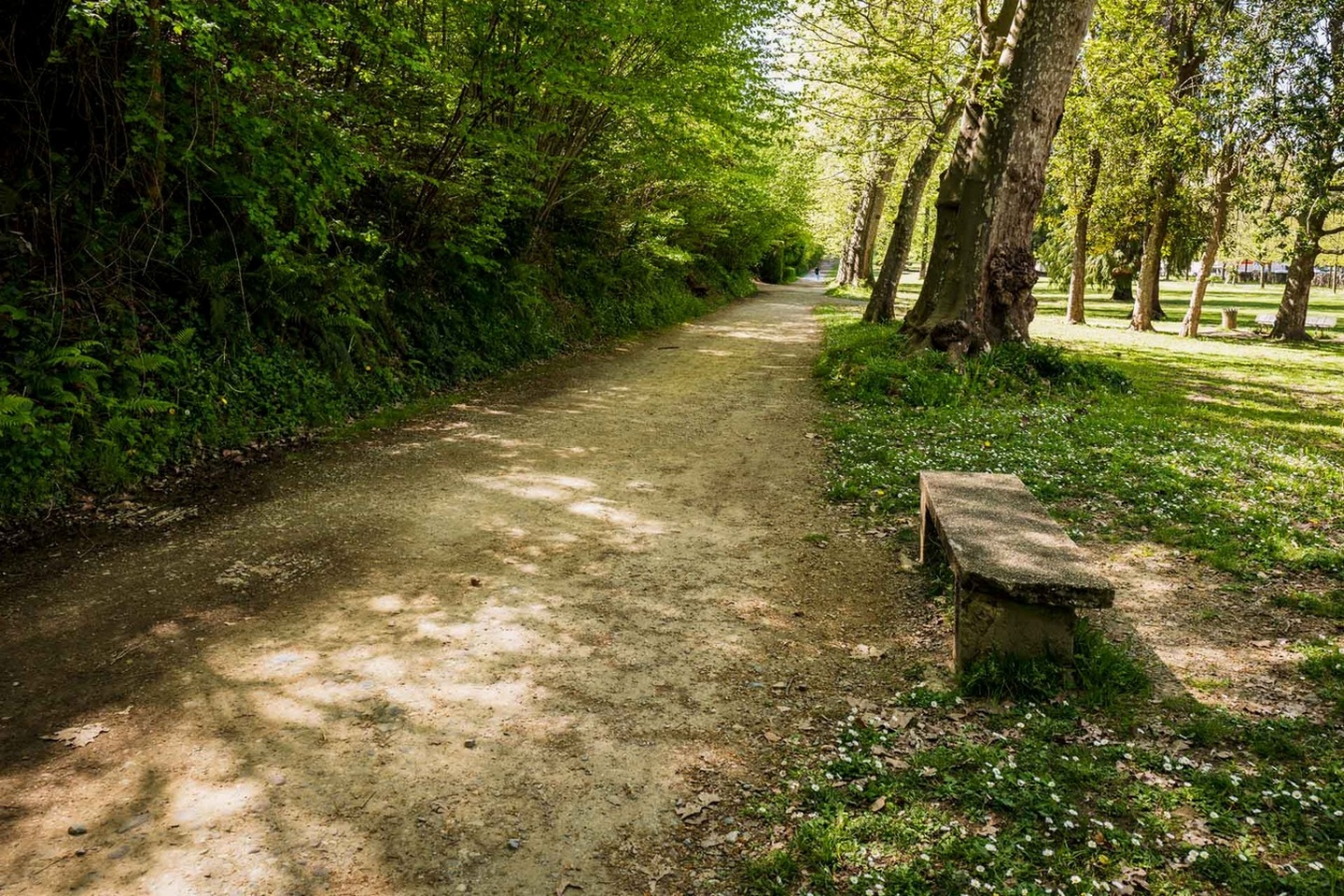 Parc du Château