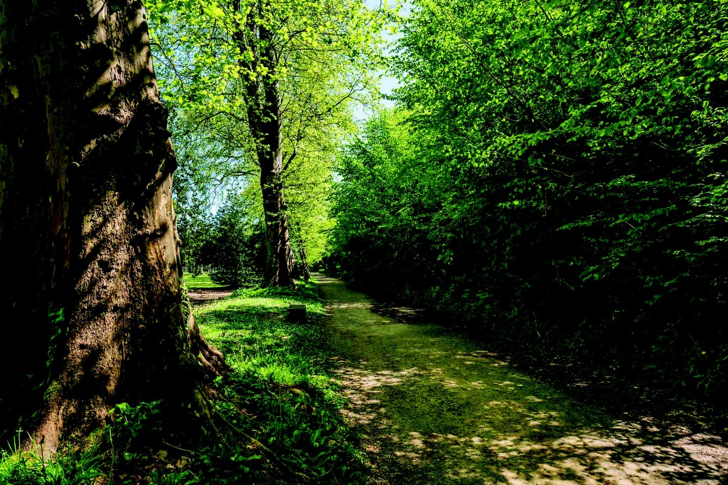Parc du Château