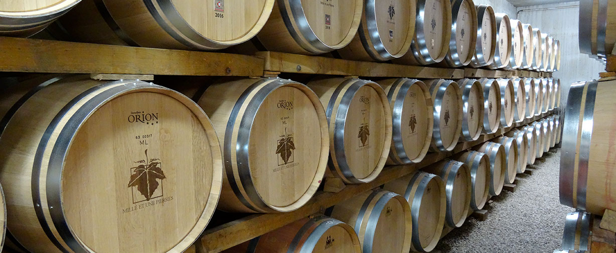 La Cave Viticole de Branceilles — photo 3