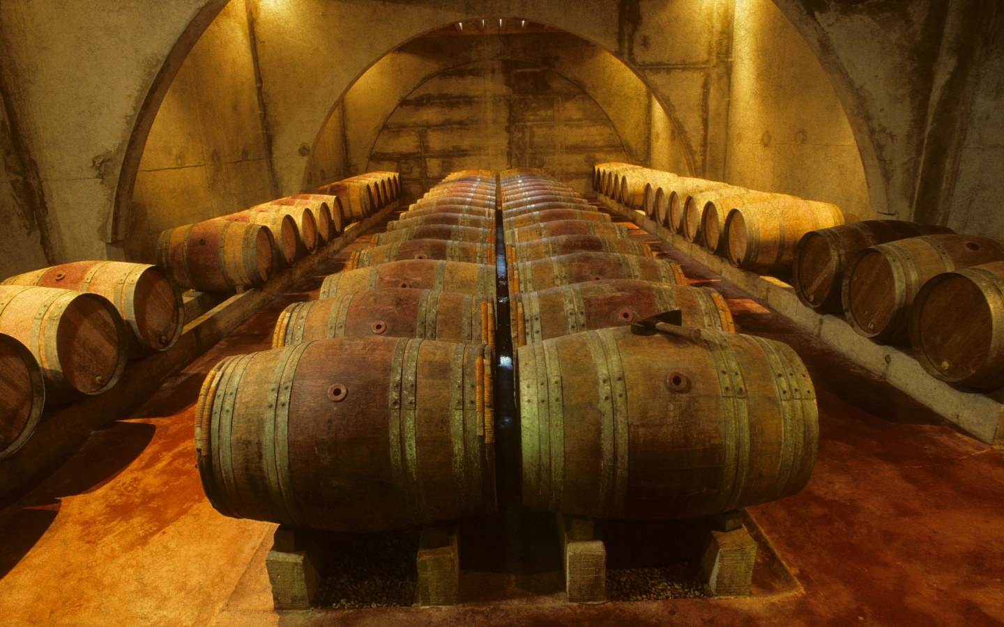 Vignoble Brana — photo 2