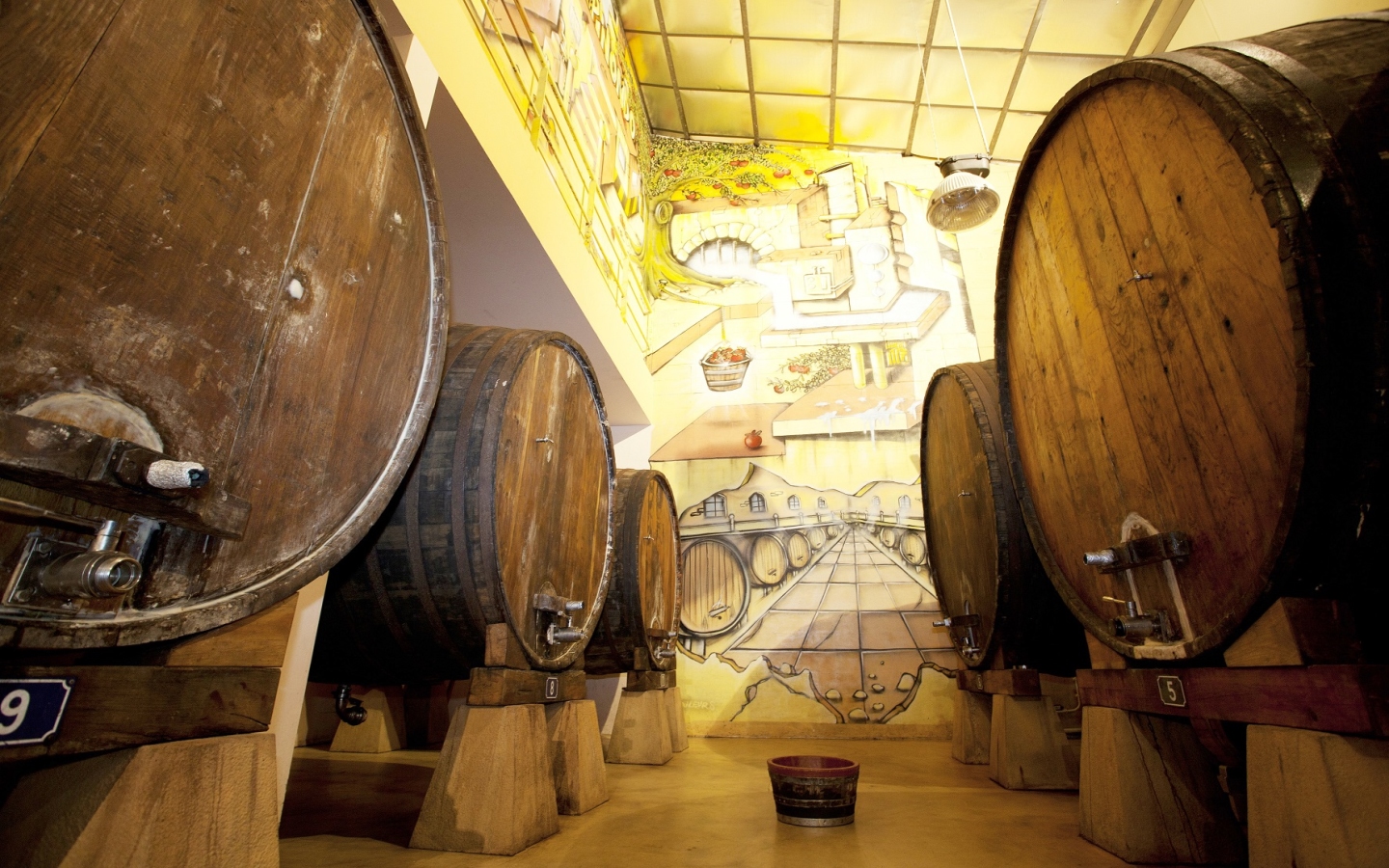 GS Cidrerie Berri - photo 5