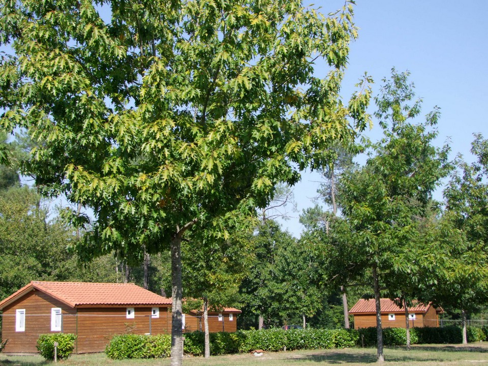 Chalet de Mouneyres n°3